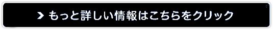 スキンケールド ブースターフォーム販売サイトへ